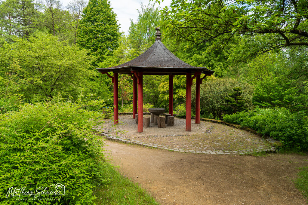 Der forstbotanische Garten in Eberswalde